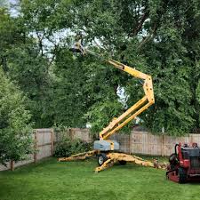 Best Firewood Processing and Delivery  in Rock Hill, NY
