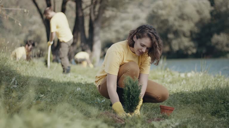 Best Soil Testing and Treatment  in Rock Hill, NY