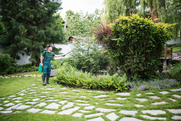 Best Tree Trimming and Pruning  in Rock Hill, NY