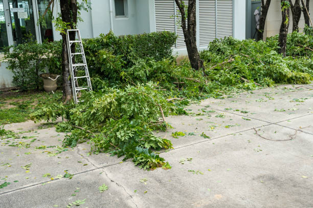 Best Weed Control  in Rock Hill, NY
